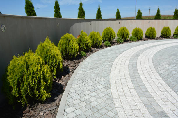 Best Asphalt Driveway Paving in Suncrest, WA